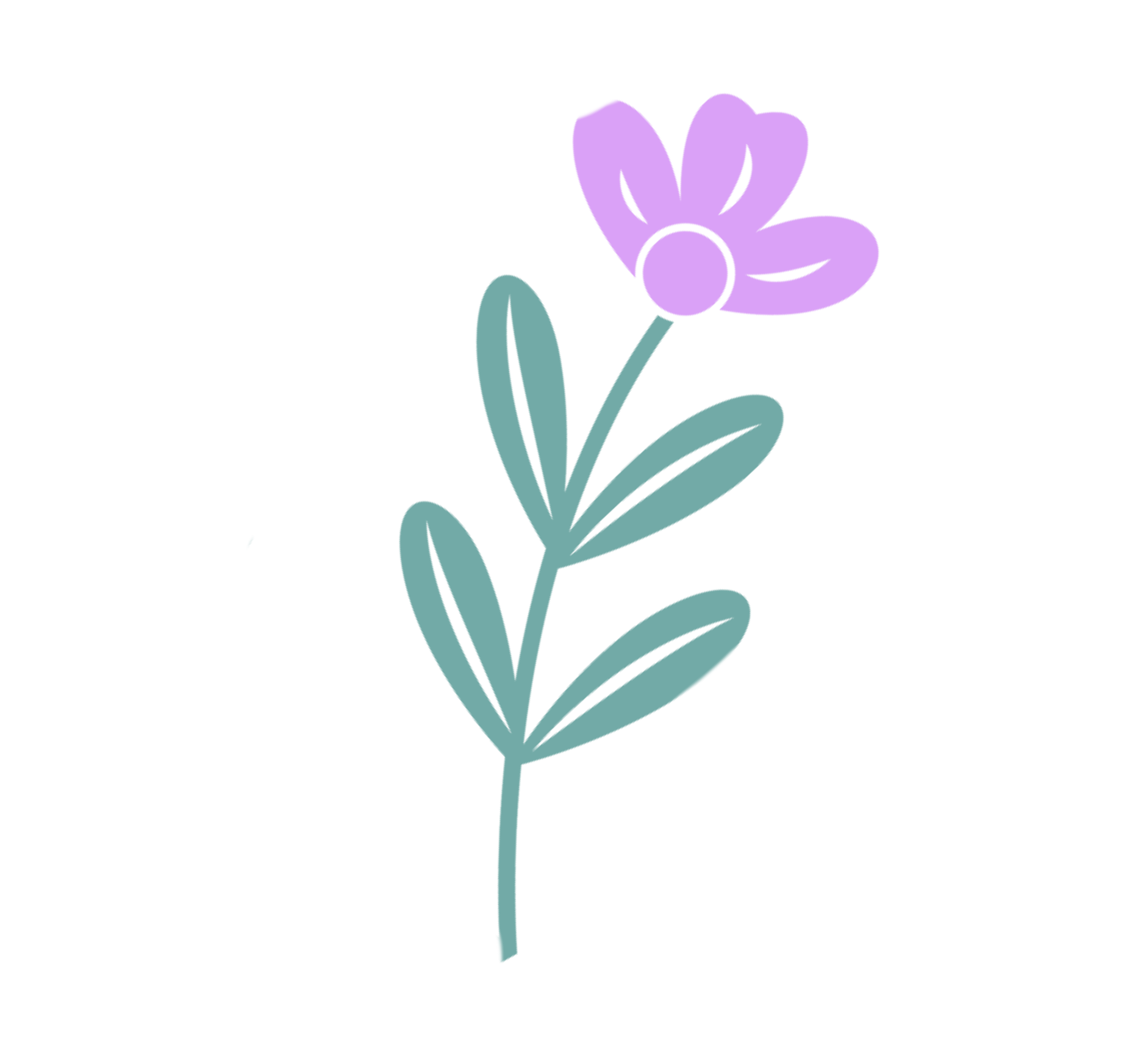 Pakket Boterbloem