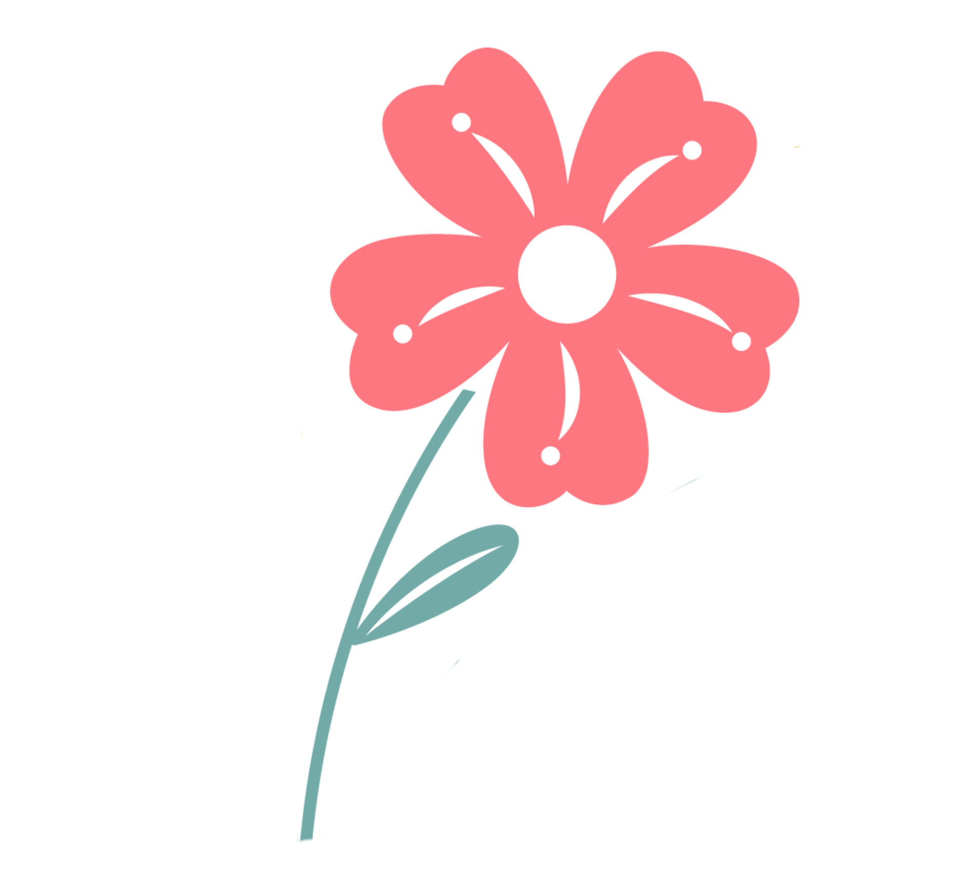 Pakket Cosmos